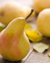 Fragrance Oil – Pear