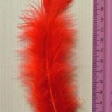 Red Feather