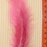 Rose Feather