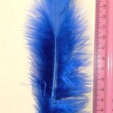 Turkey Feathers – 10 Piece