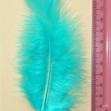 Turkey Feathers – 10 Piece