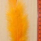 Turkey Feathers – 10 Piece