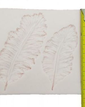 Feathers – Silicone Mould