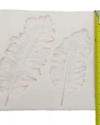 Feathers – Silicone Mould