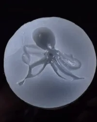 Octopus – Silicone Mould