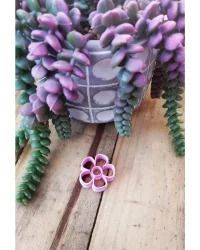 Clay Cutter – Complete Flower Shape EC047