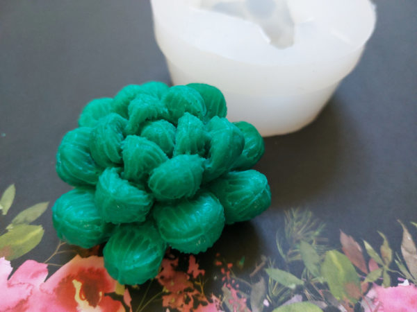 Example of a peanut succulent from the succulent silicone mould