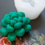 Example of a peanut succulent from the succulent silicone mould