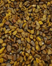 Glossy Tumbled Stones – Yellow Tiger’s Eye