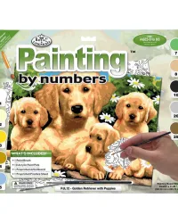 Golden Retriever with Puppies – Paint by Numbers