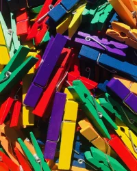 Wood Pegs – Primary Colours