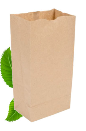 Small brown paper bag
