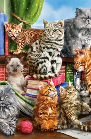 Castorland House of cats puzzle