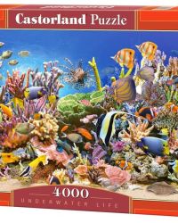 Underwater Life – 4000 Piece Puzzle