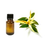 Fragrance Oil Ylang Ylang