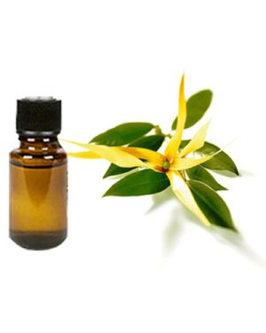 Fragrance Oil – Ylang Ylang (50ml)
