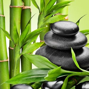 Zesty bamboo fragrance oil