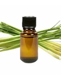 Fragrance Oil – Lemon Grass