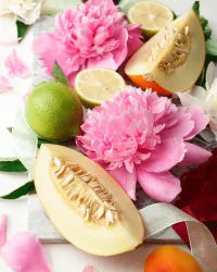 Fragrance Oil – Fruity Floral