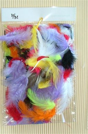 Poultry feathers in assorted colours