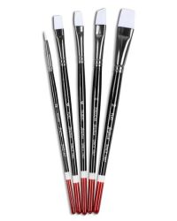 Brush Set (5 Piece) – Angelus