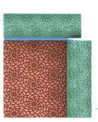 R037 Patterned Webs – Polymer Clay Texture Roller Designs