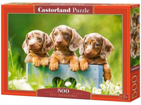 Cute Dachshunds 500 Piece Puzzle box