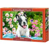 French bulldog Castorland puzzle