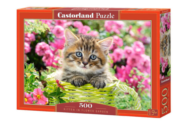 Kitten in Flower 500 Piece Puzzle Box