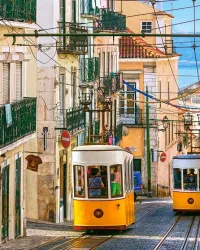 Lisbon Trams – 1000 Piece Puzzle