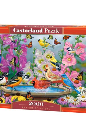 Rhythm of Nature 2000 Puzzle Piece Box