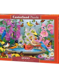 Rhythm of Nature – 2000 Piece Puzzle