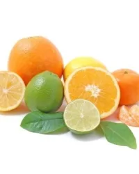 Fragrance Oil – Frais Lime, Basil & Mandarin