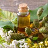 fragrance oil mandarin leaf and white pepper