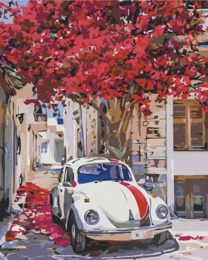 Car on a Flowering Street – Paint by Numbers