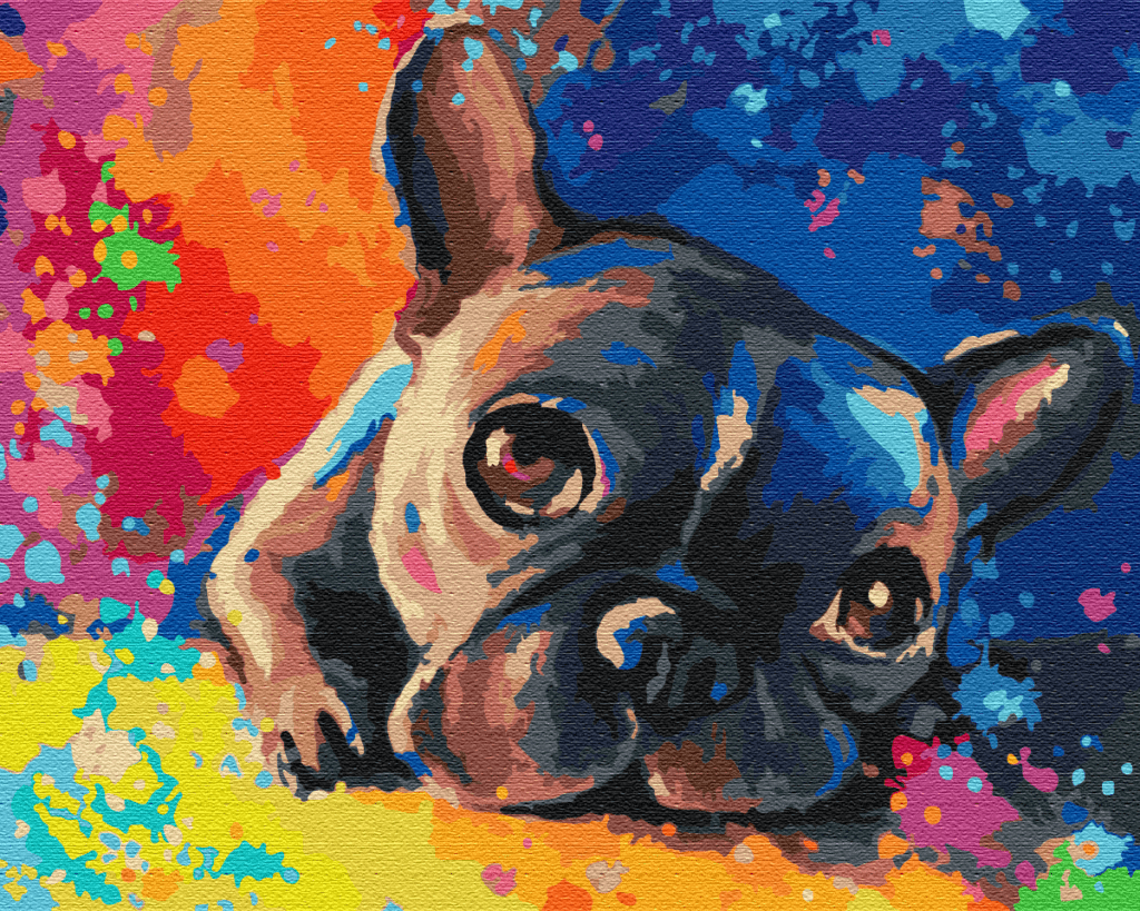 Coloured Bulldog Paint by Numbers Crafty Arts