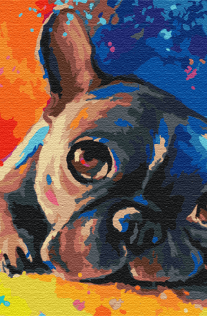 Coloured Bulldog Paint By Numbers Image