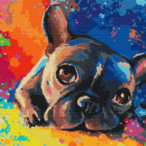 Coloured Bulldog Paint By Numbers Image