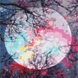 Overlooking the Moon Paint by numbers image