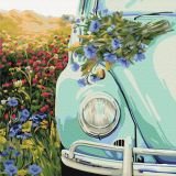 Retro In A Field Image