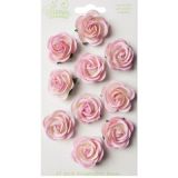 Blooms Chelsea Roses Baby Pink