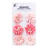 Flowers Astra Pink Passion