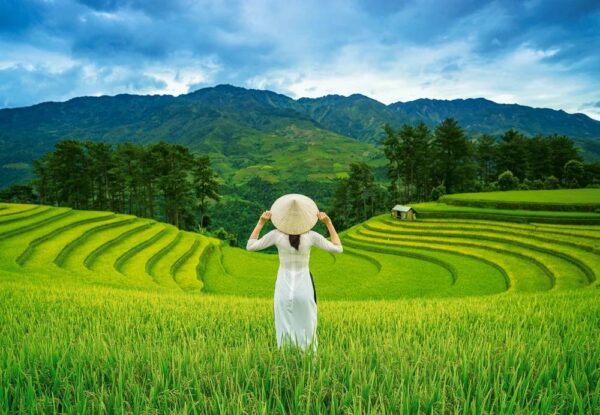 Rice Fields in Vietnam 1000 piece puzzle by Castorland