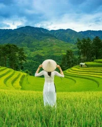 Rice Field in Vietnam – 1000 Piece Puzzle