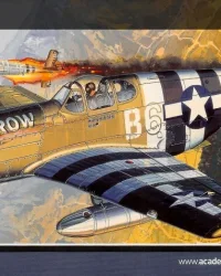 P-51B The Fighter of World War II- Model Aircraft Kit