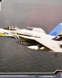 U.S Navy F/A-18C Marauders- Model Aircraft Kit