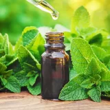 Fragrance Oil Peppermint