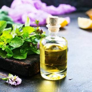 fragrance oil herbal