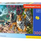 Tiger Sanctuary Castorland Puzzle Box 1