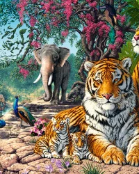 Tiger Sanctuary – 300pce Castorland Puzzle